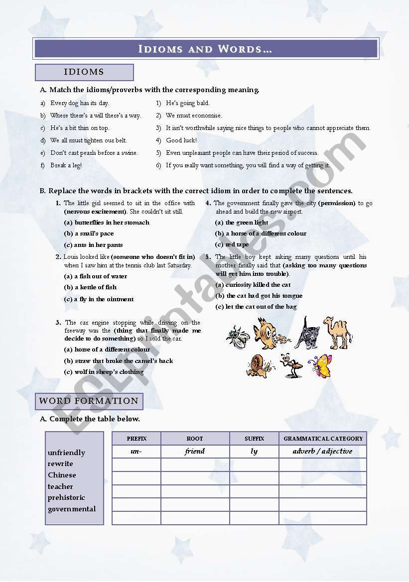 IDIOMS AND WORDS worksheet