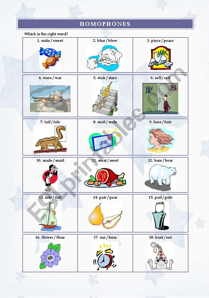 HOMOPHONES worksheet