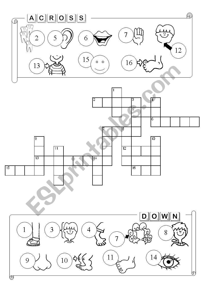 Parts of the body crossword worksheet