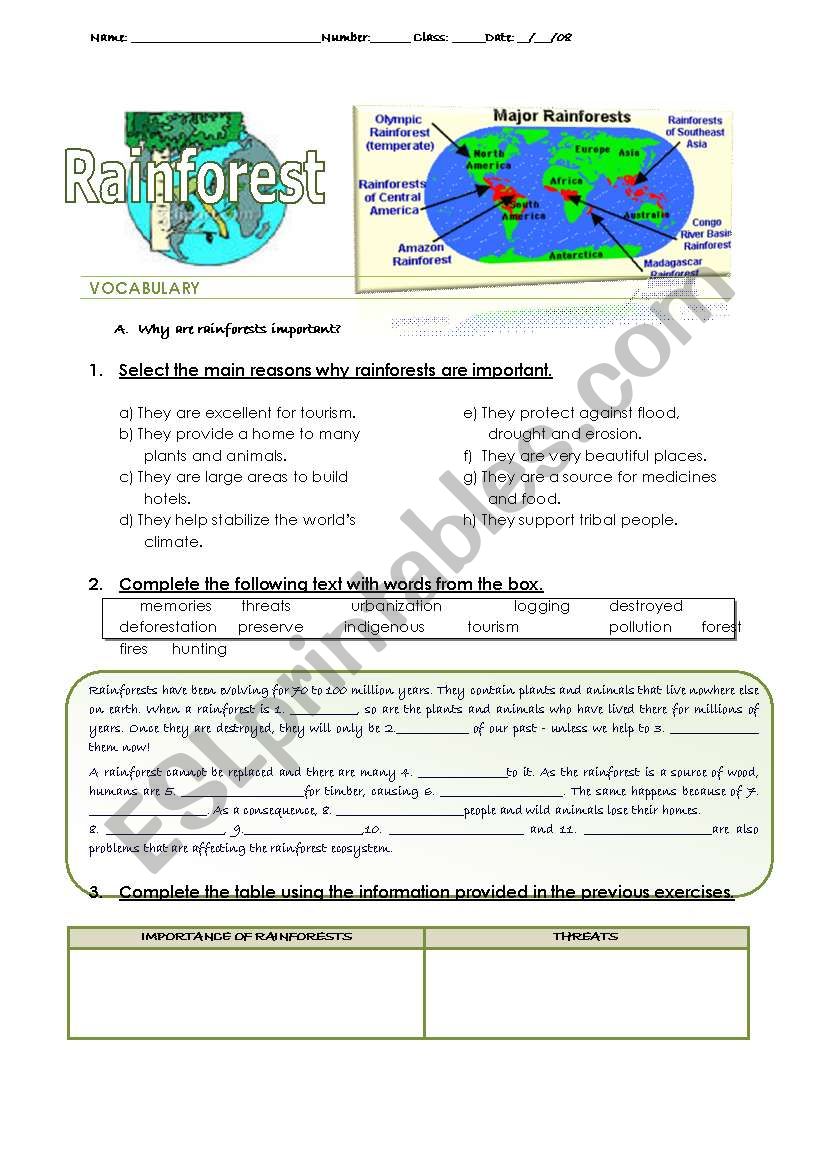 Rainforest worksheet