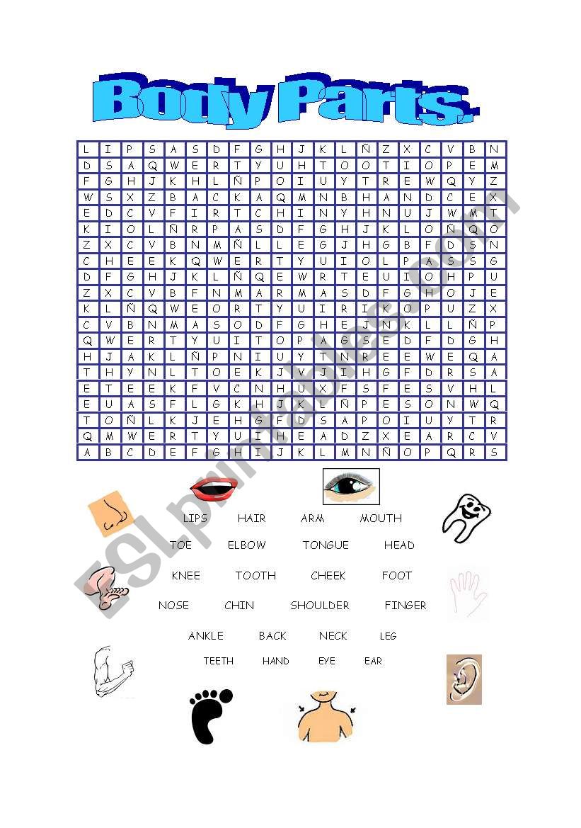 body parts worksheet