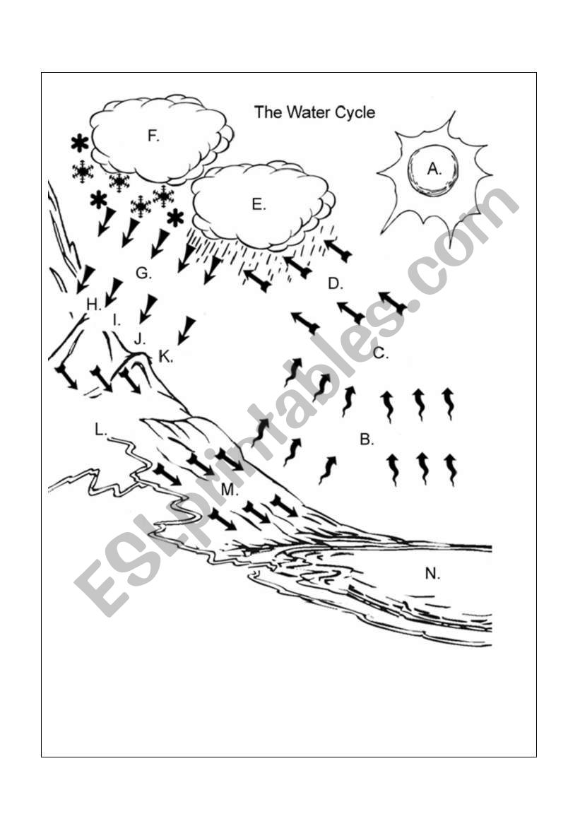 The Water Cycle - Label the Diagram