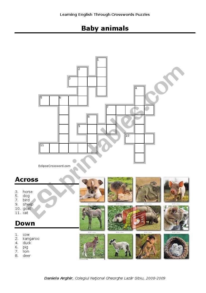 Baby Animals Crosswords Puzzle