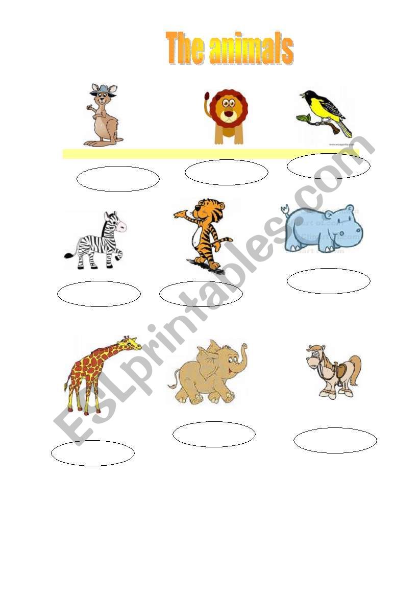 Animals worksheet