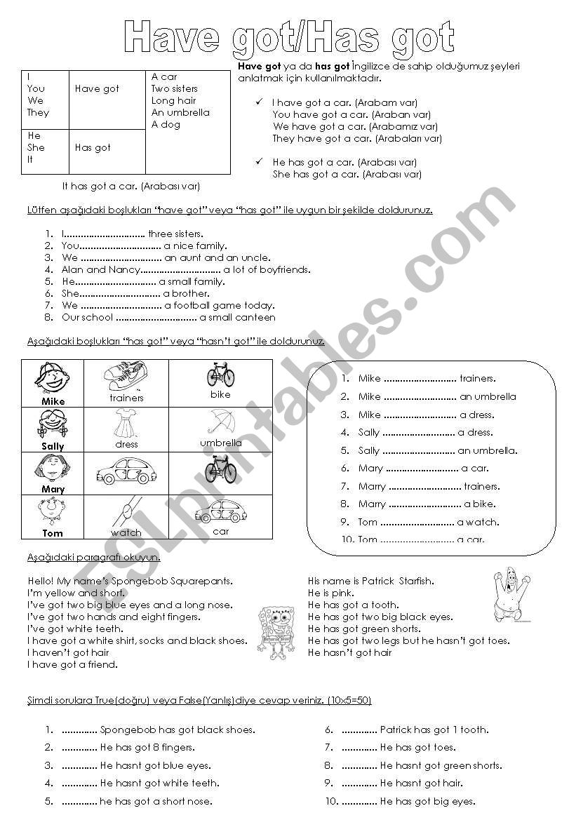 have got has got worksheet