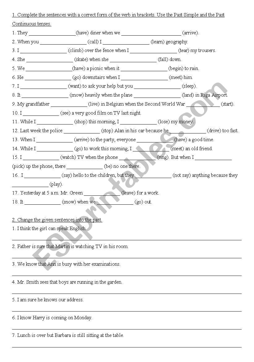 Past Simple - Past Continuous worksheet