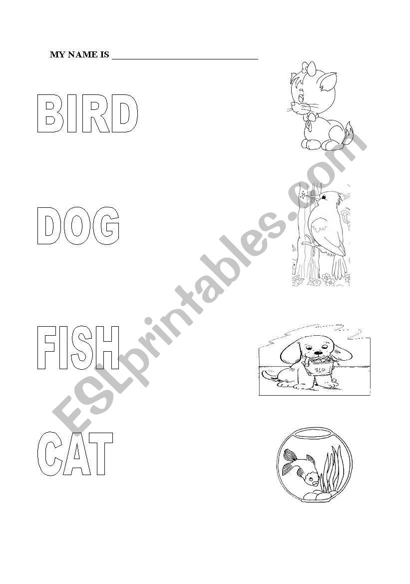 Animals worksheet