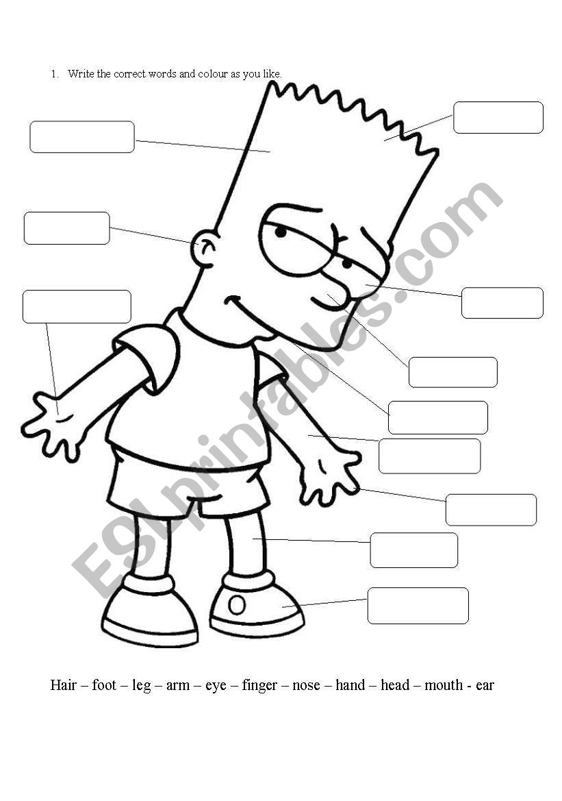 Bart Simpson body. worksheet