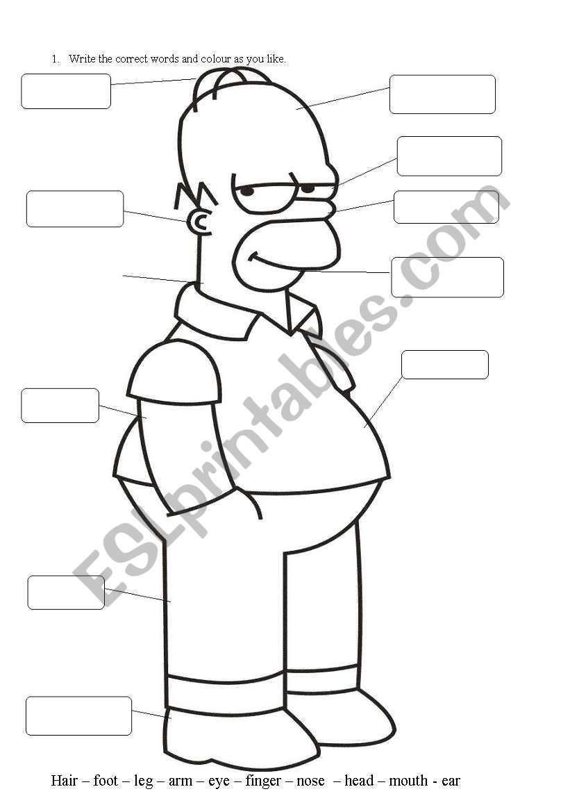 Homer Simpson body. worksheet