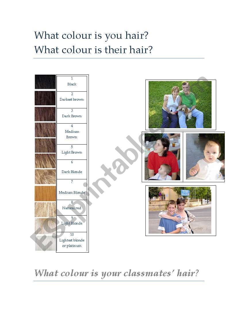 What colour is your hair? worksheet