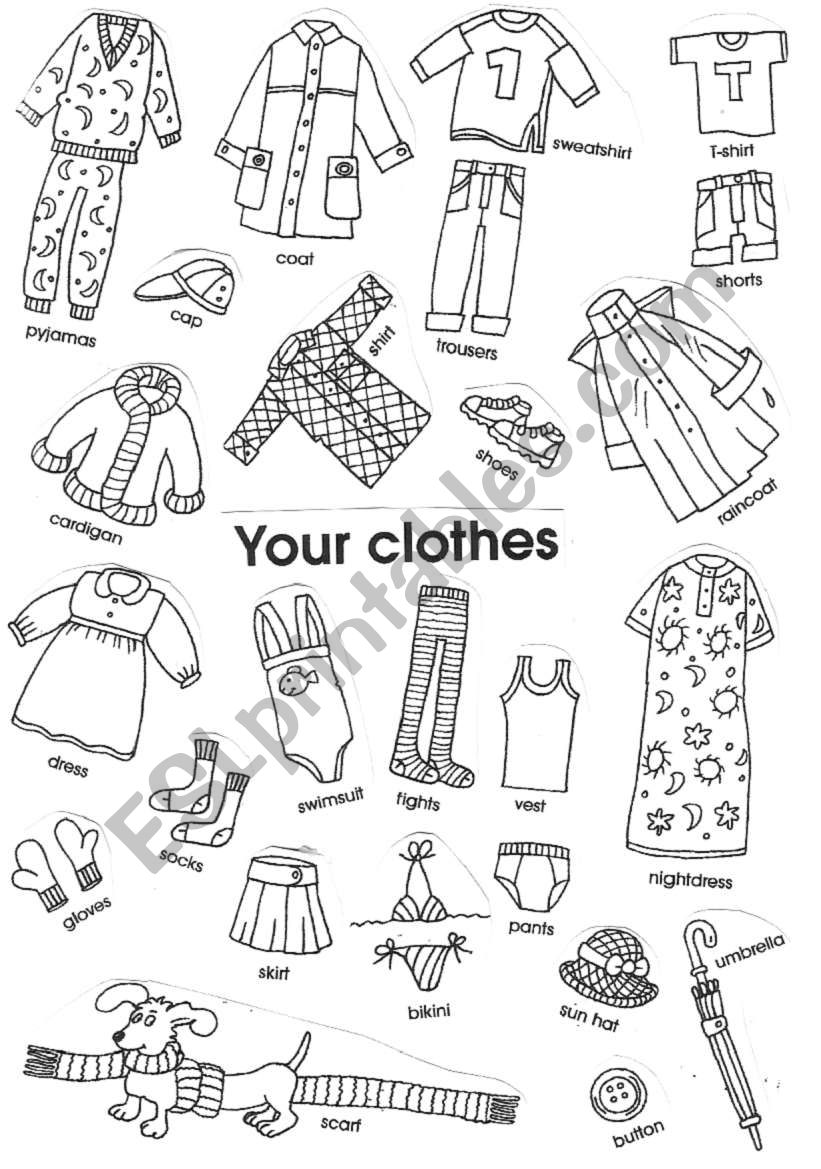 Clothes worksheet