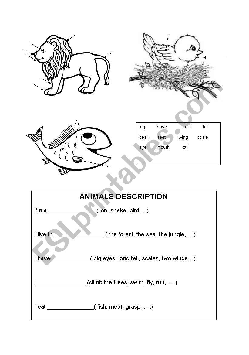 Animals description worksheet