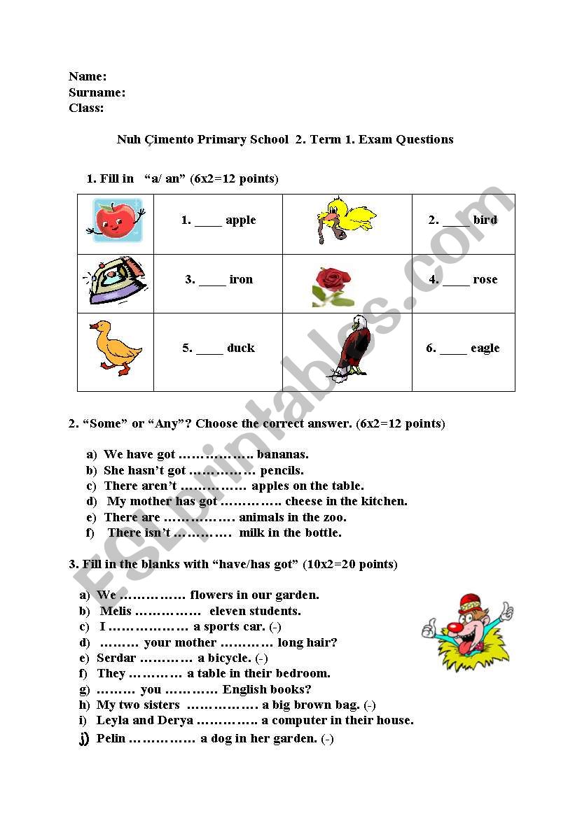 a/an, some/ any worksheet