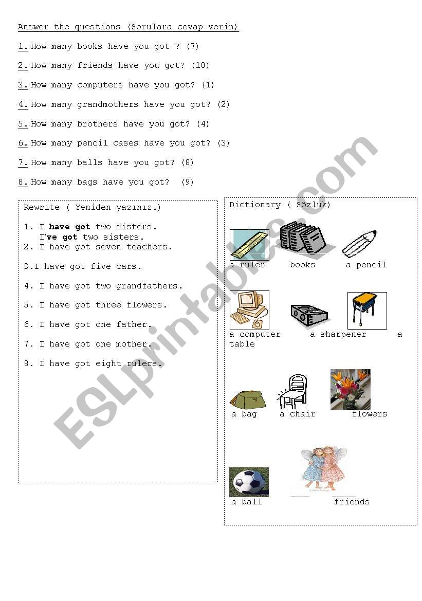 How Many& Have got worksheet