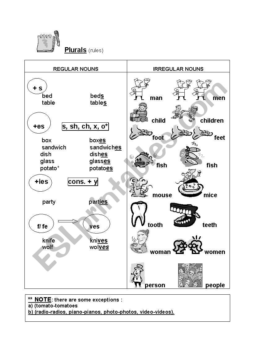 Plural worksheet