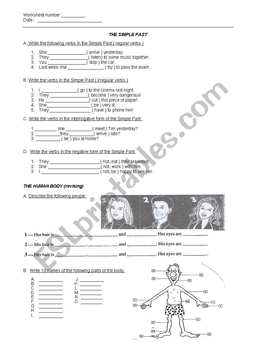 The simple Past worksheet