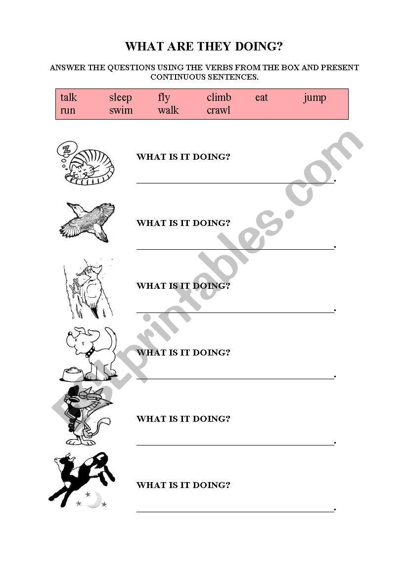 ANIMALS 1 worksheet