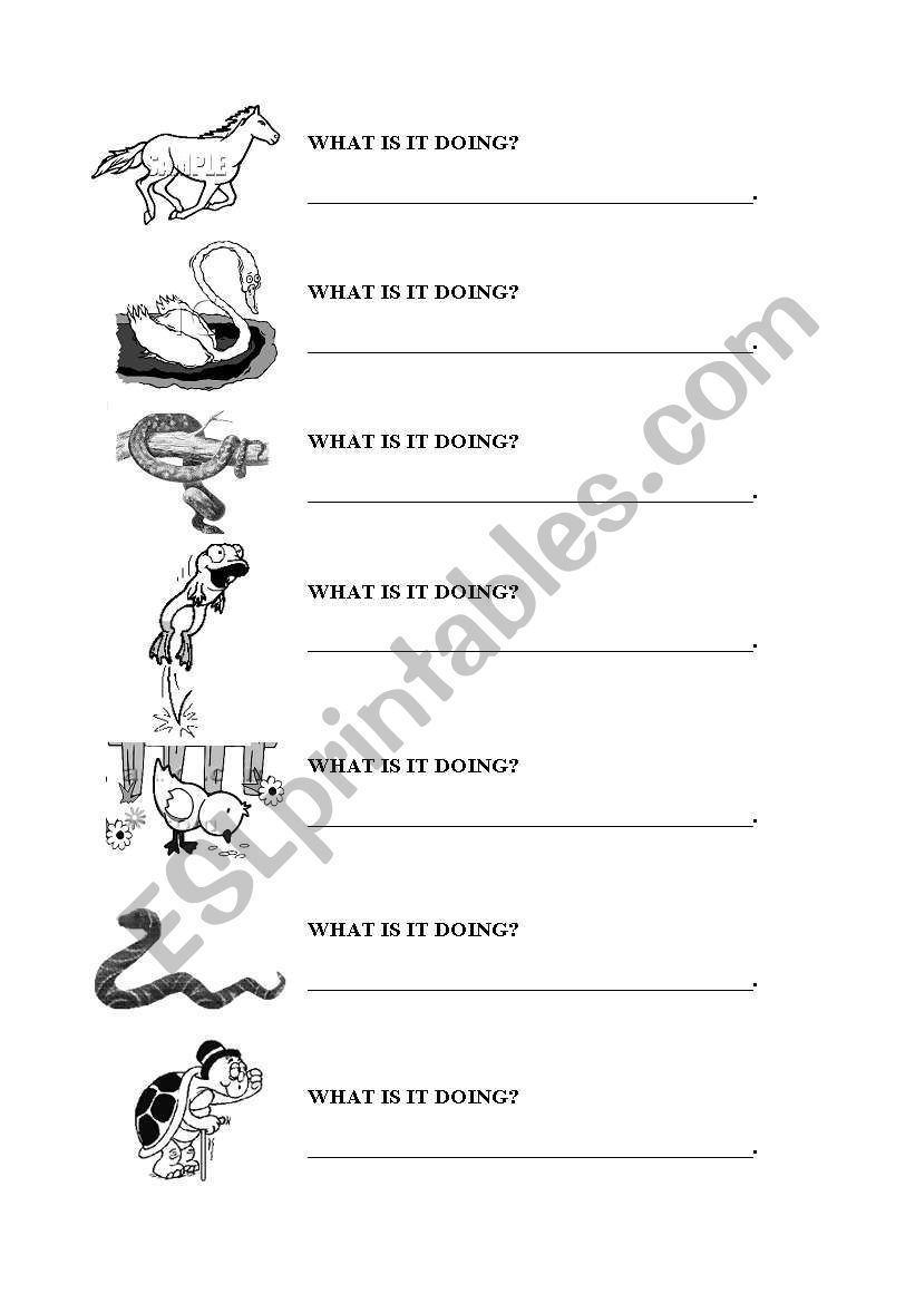 ANIMALS 2 worksheet