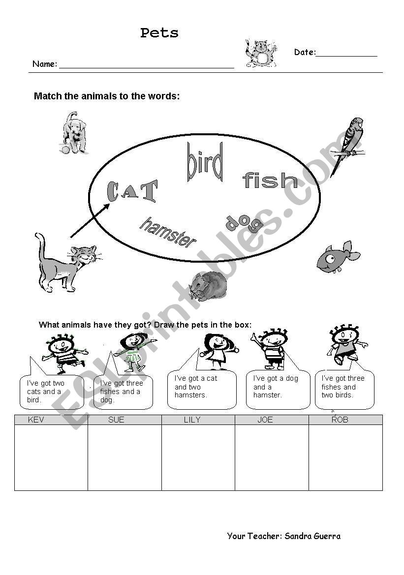 Pets worksheet