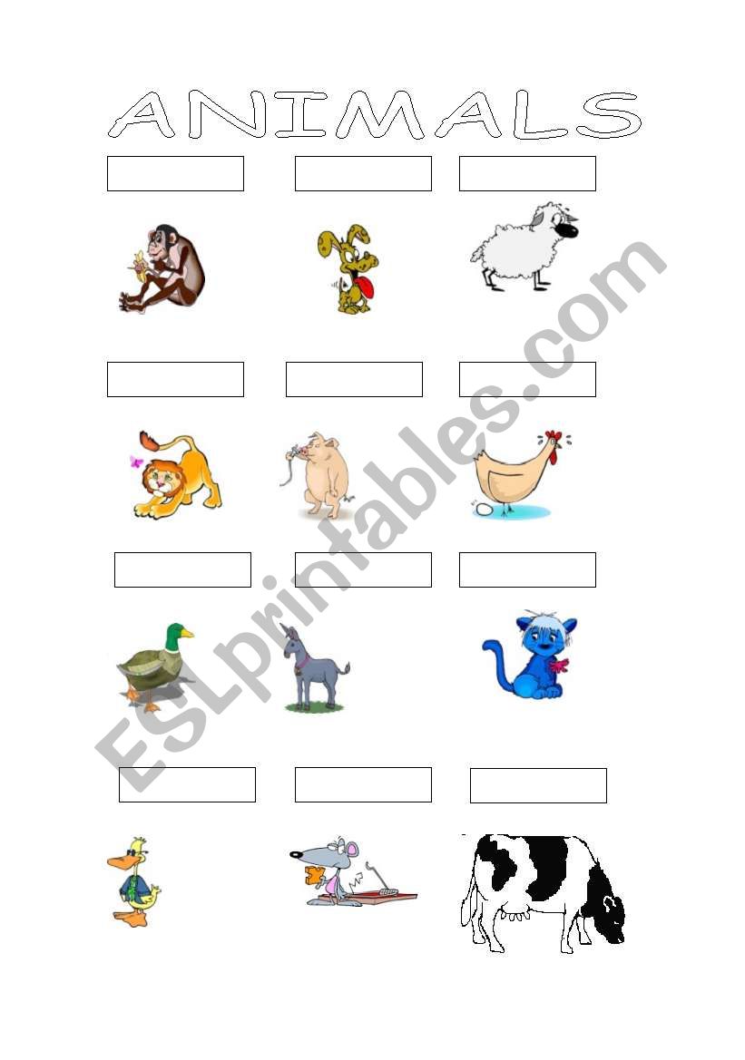 Animals worksheet