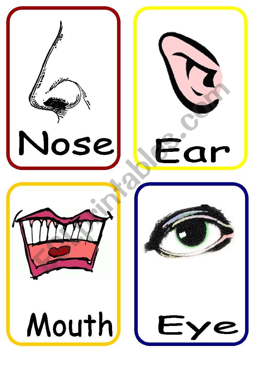 5 senses flashcards worksheet
