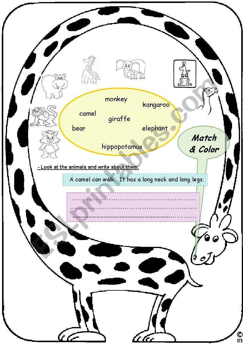 animals worksheet