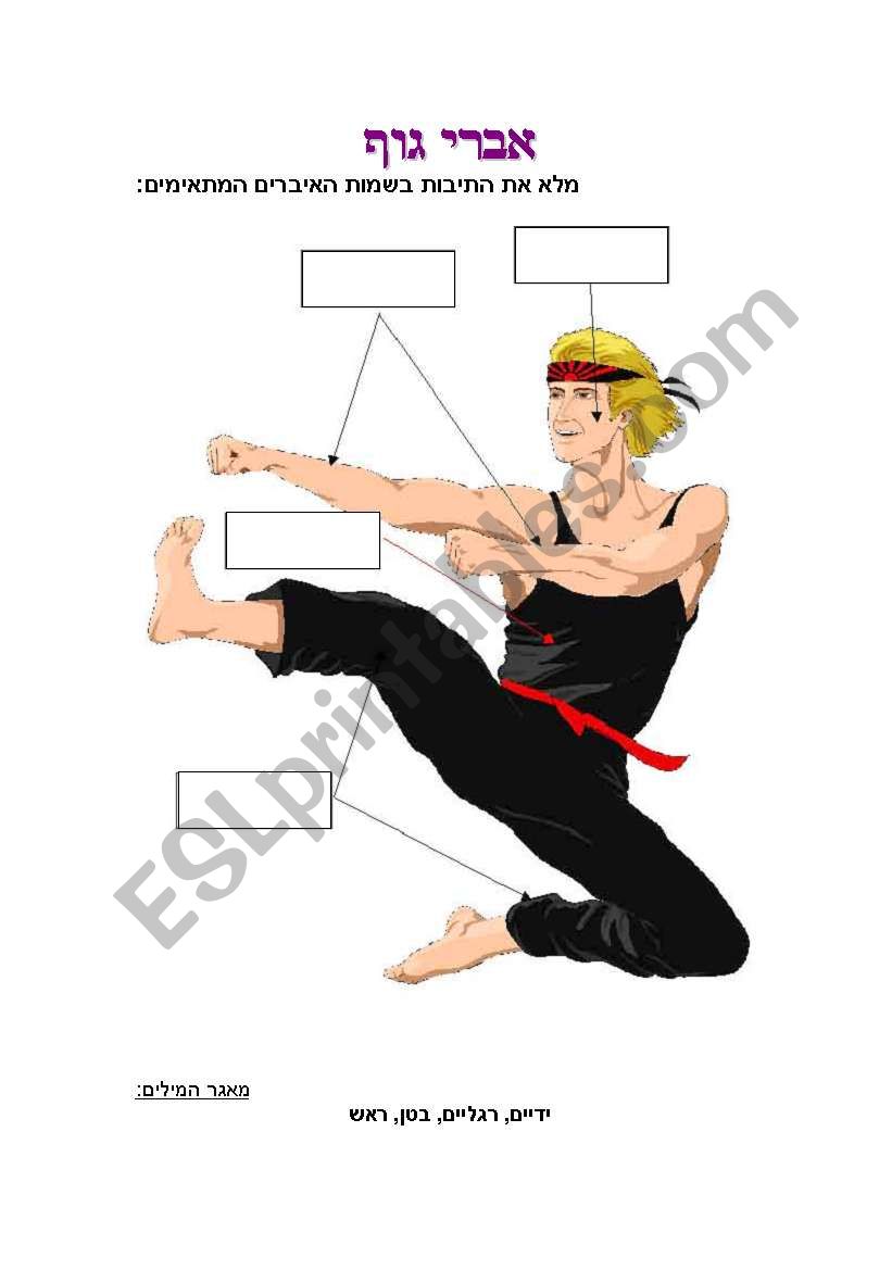 the body parts  worksheet