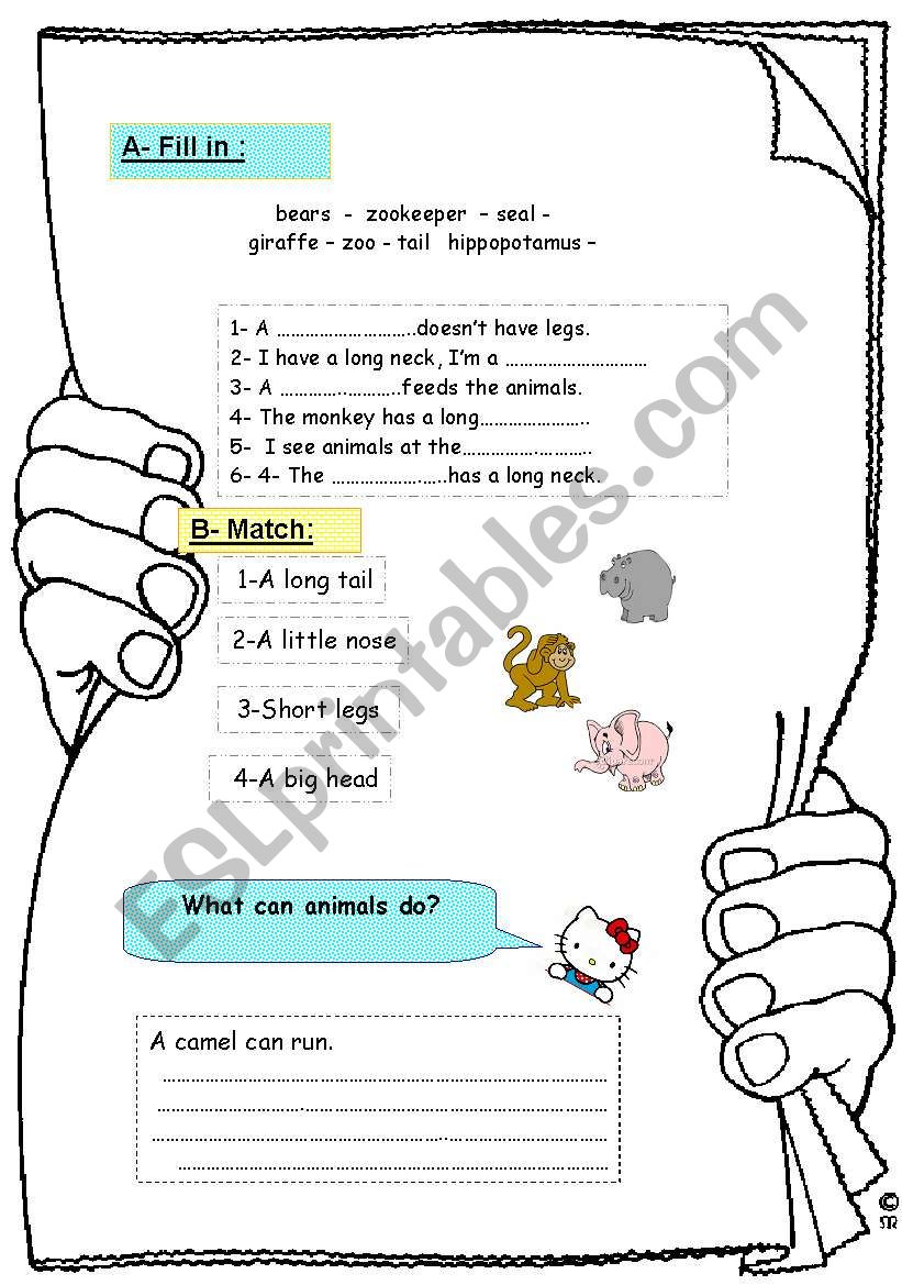 animals worksheet