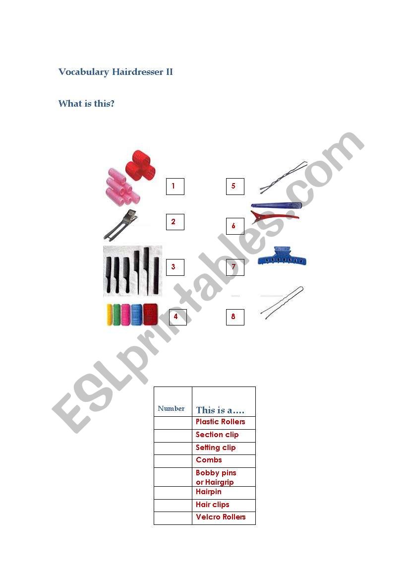 Hairdresserss vocabulay III worksheet