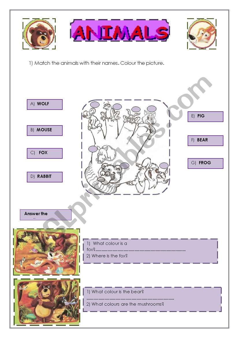 animals worksheet