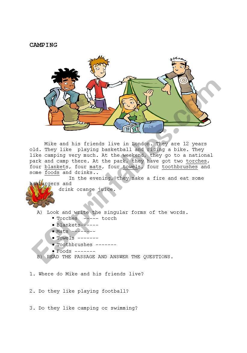 revision of can, simple present