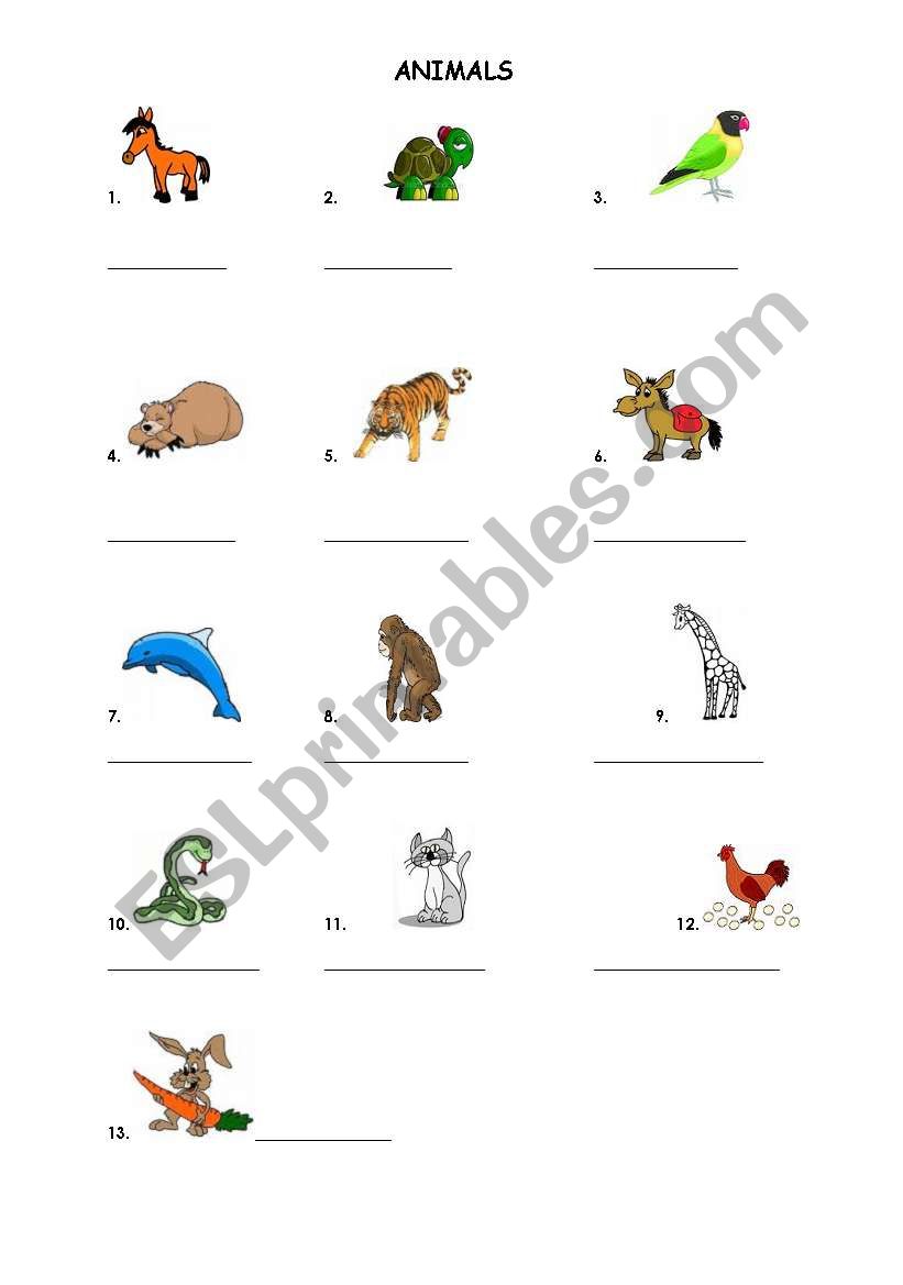 Animals worksheet