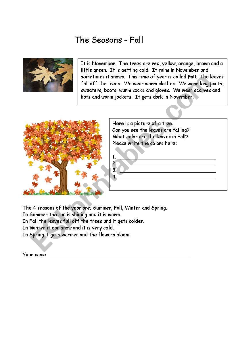 Fall  worksheet