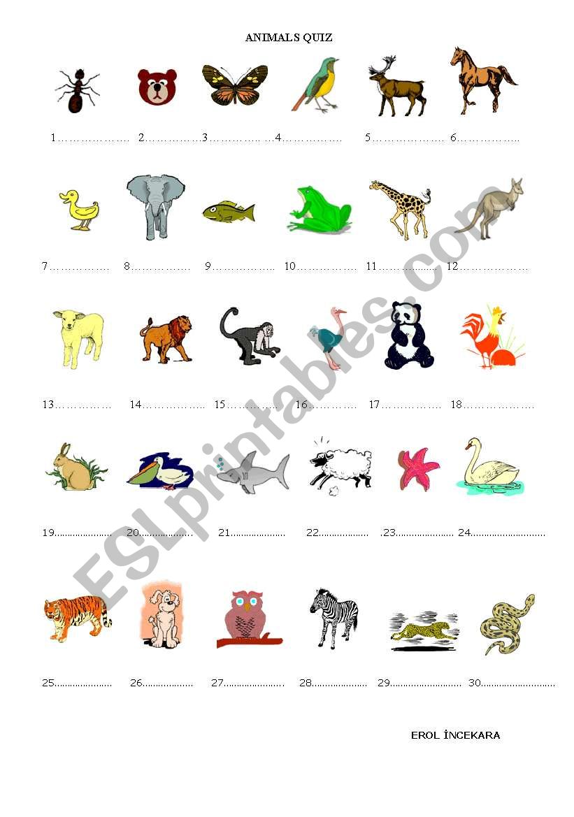 animal quiz worksheet