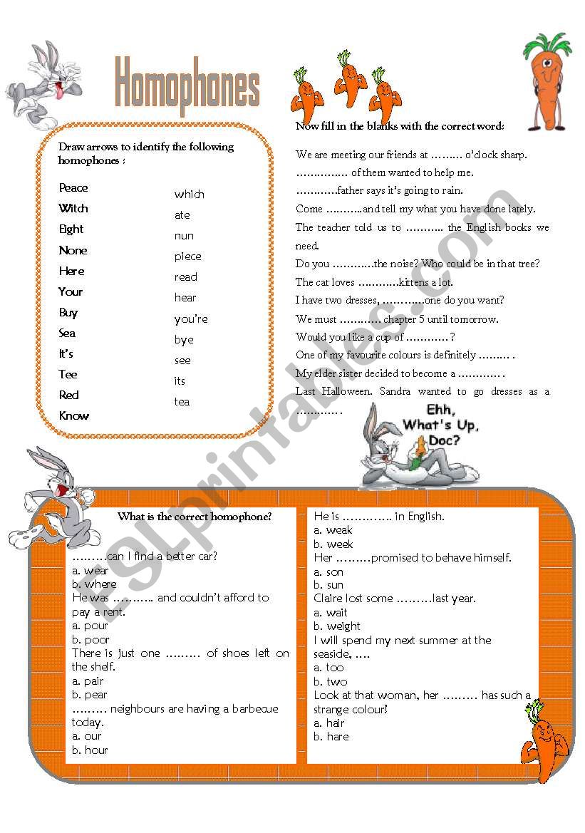 HOMOPHONES worksheet