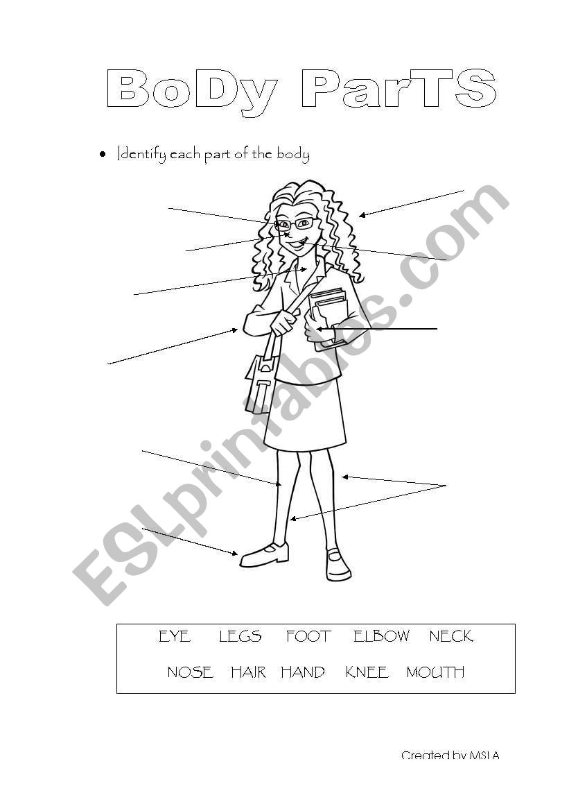 body parts worksheet