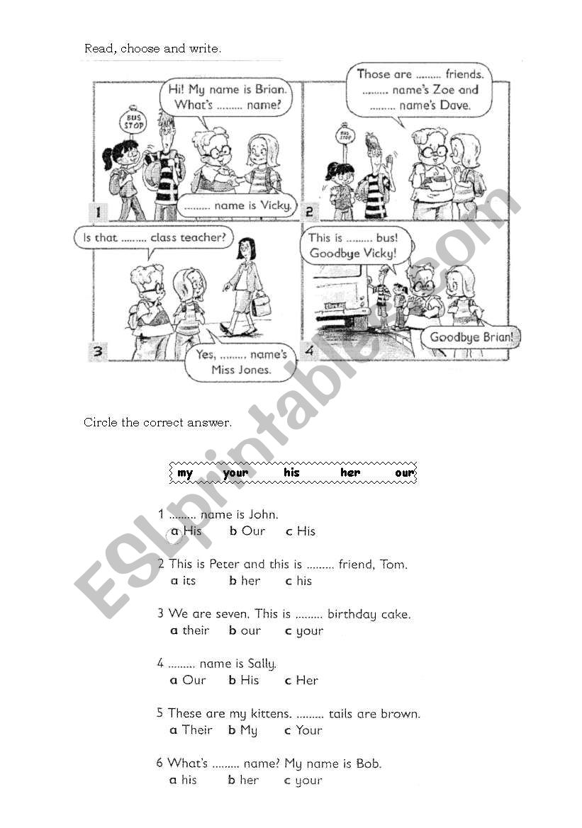 Possessives worksheet