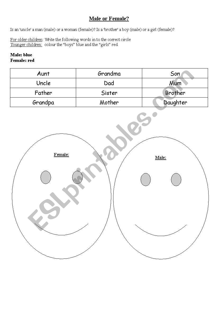 Male or female worksheet