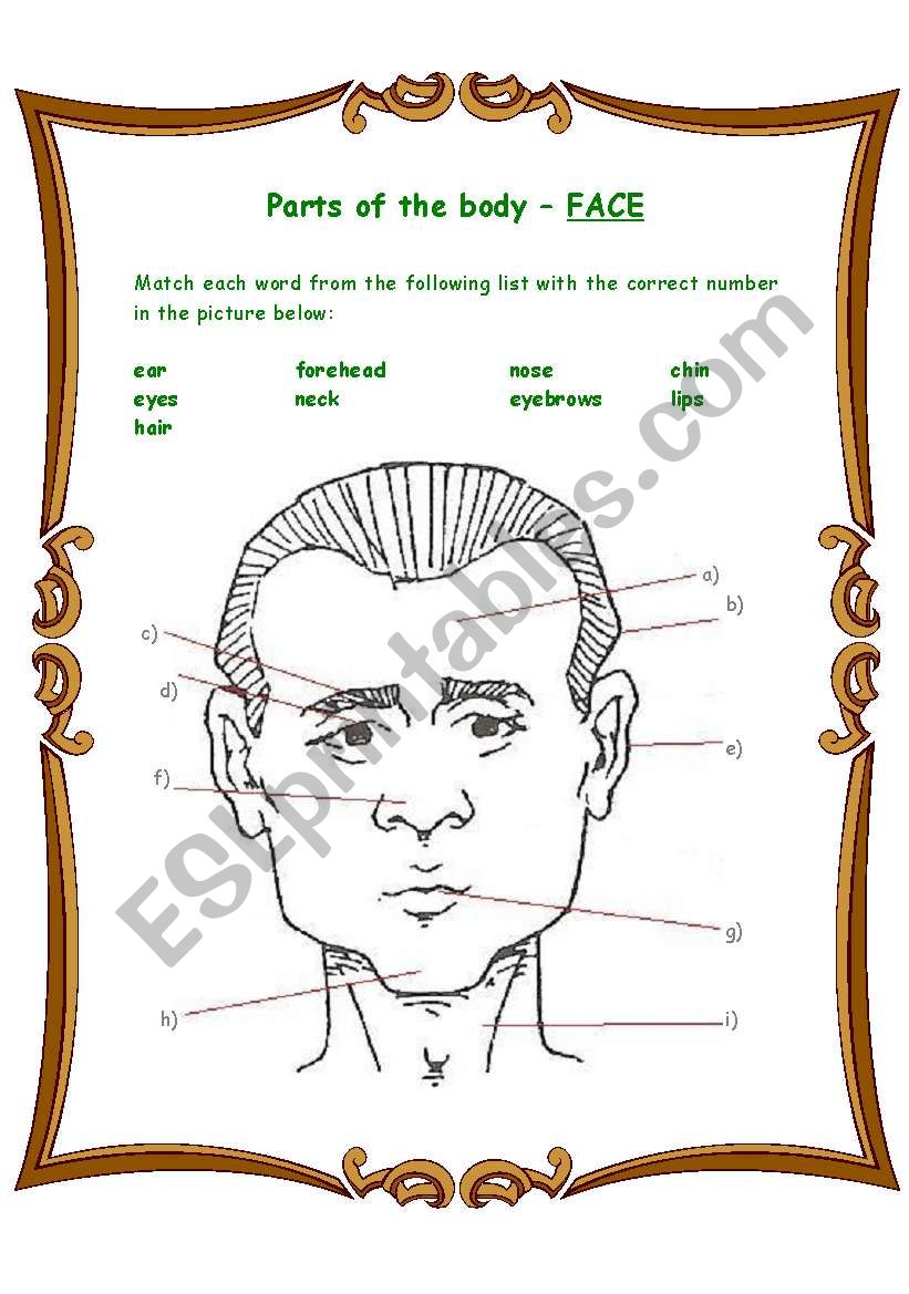 Parts of the body - Face worksheet