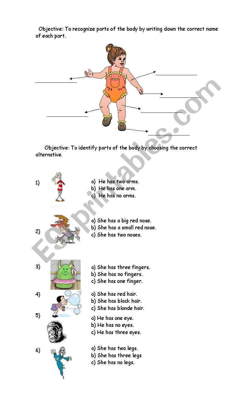 Parts of the Body and Face worksheet
