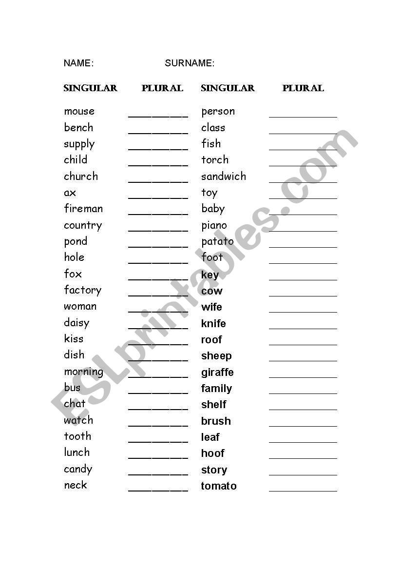 plural  worksheet