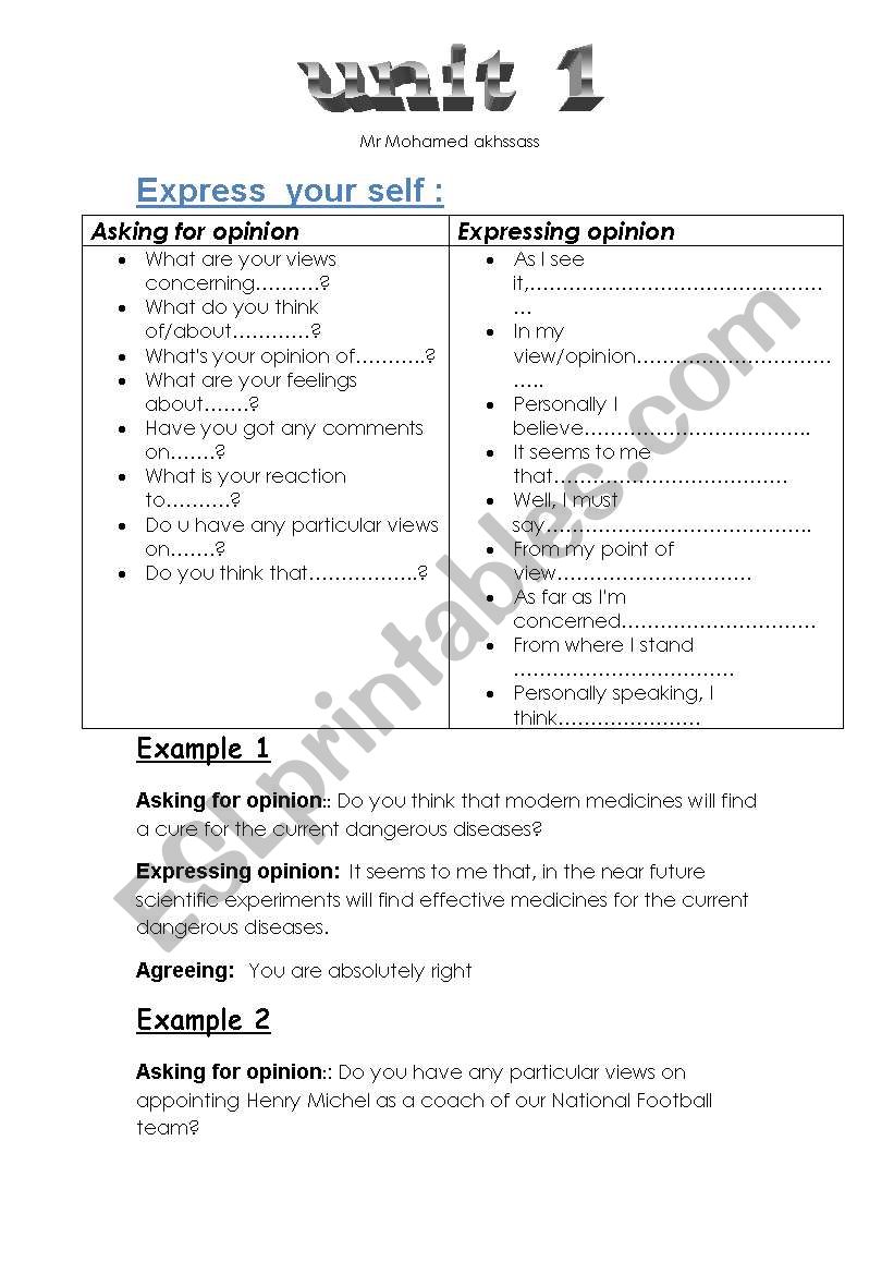 Expressing Opinion worksheet