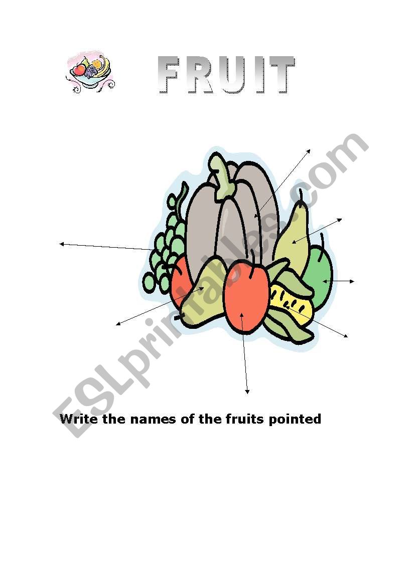 fruit  worksheet