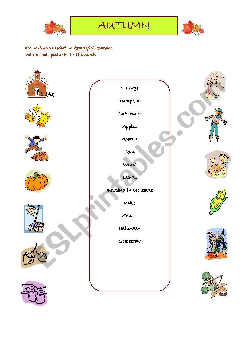 Autumn worksheet