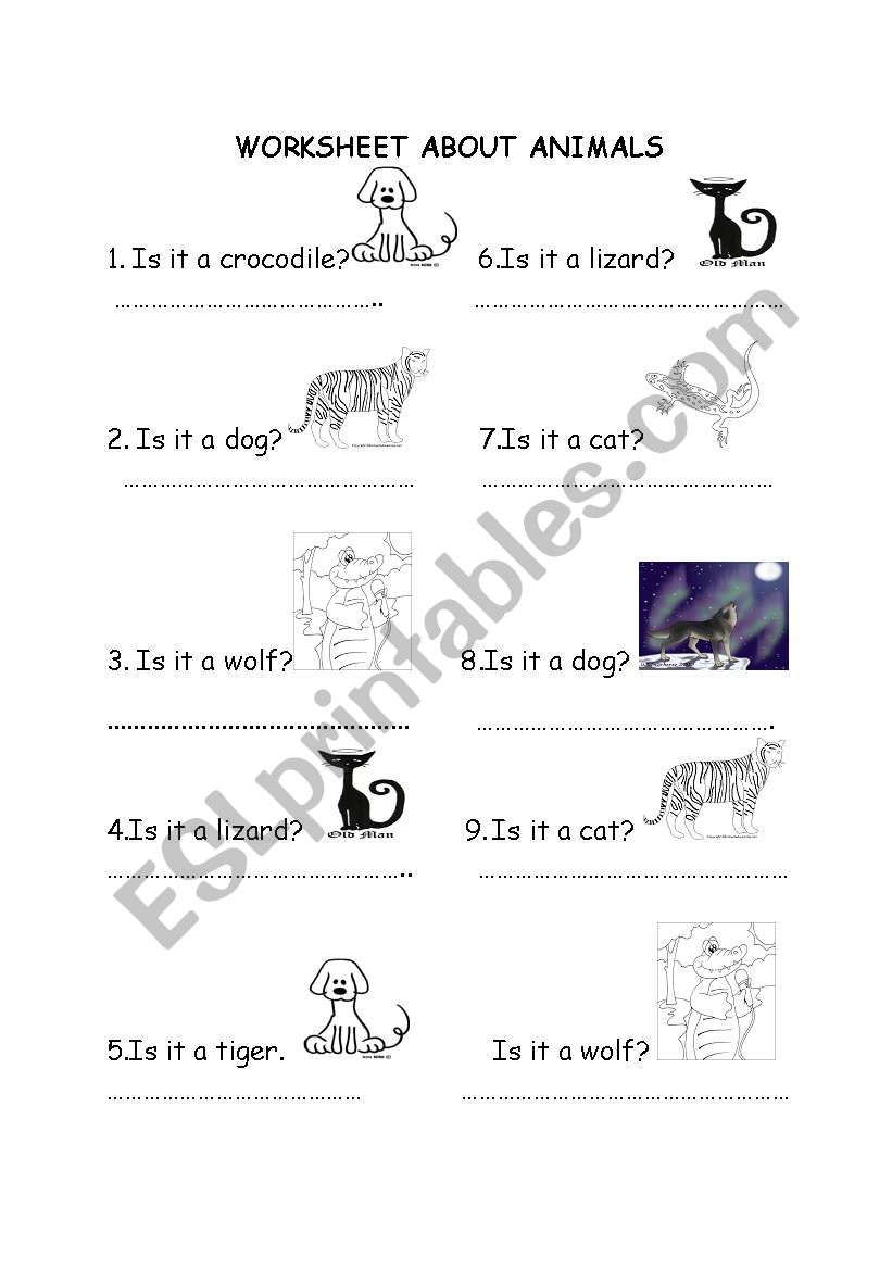 animals worksheet