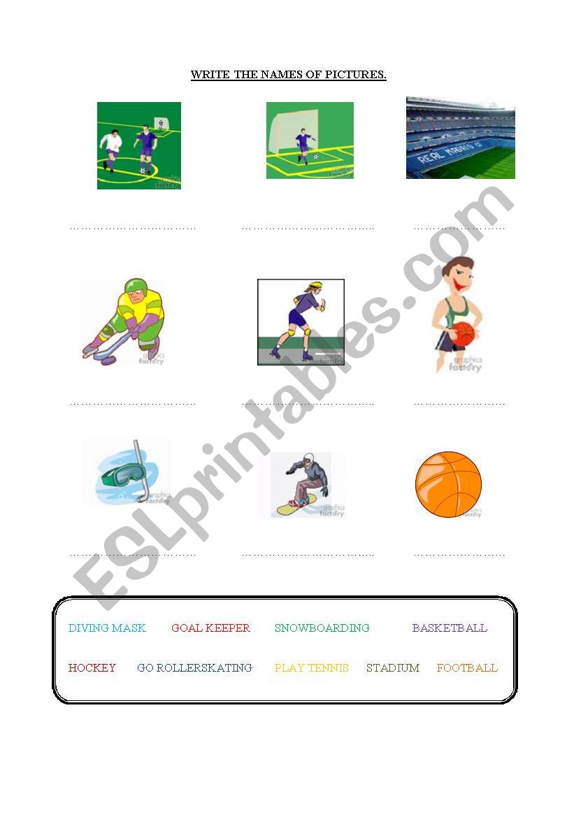 sports worksheet