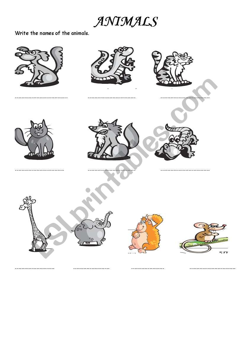 animals worksheet