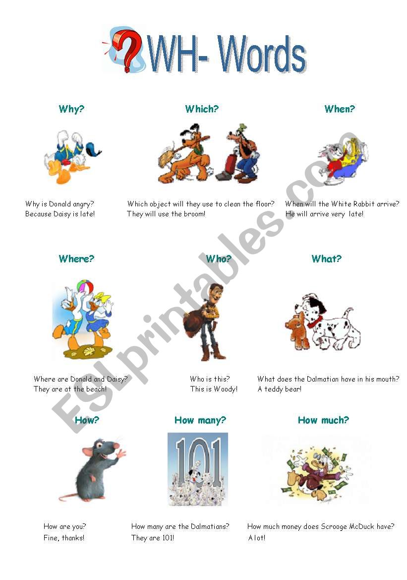 WH- Words worksheet