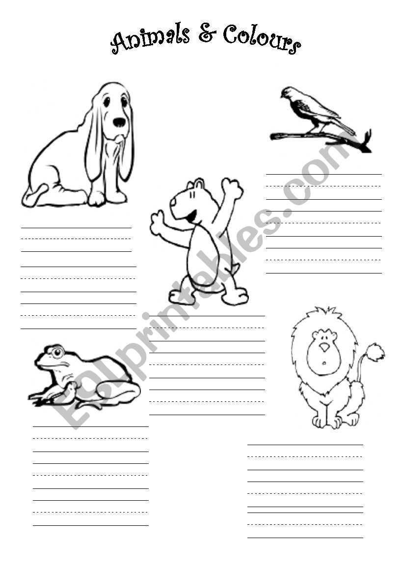 Animals worksheet