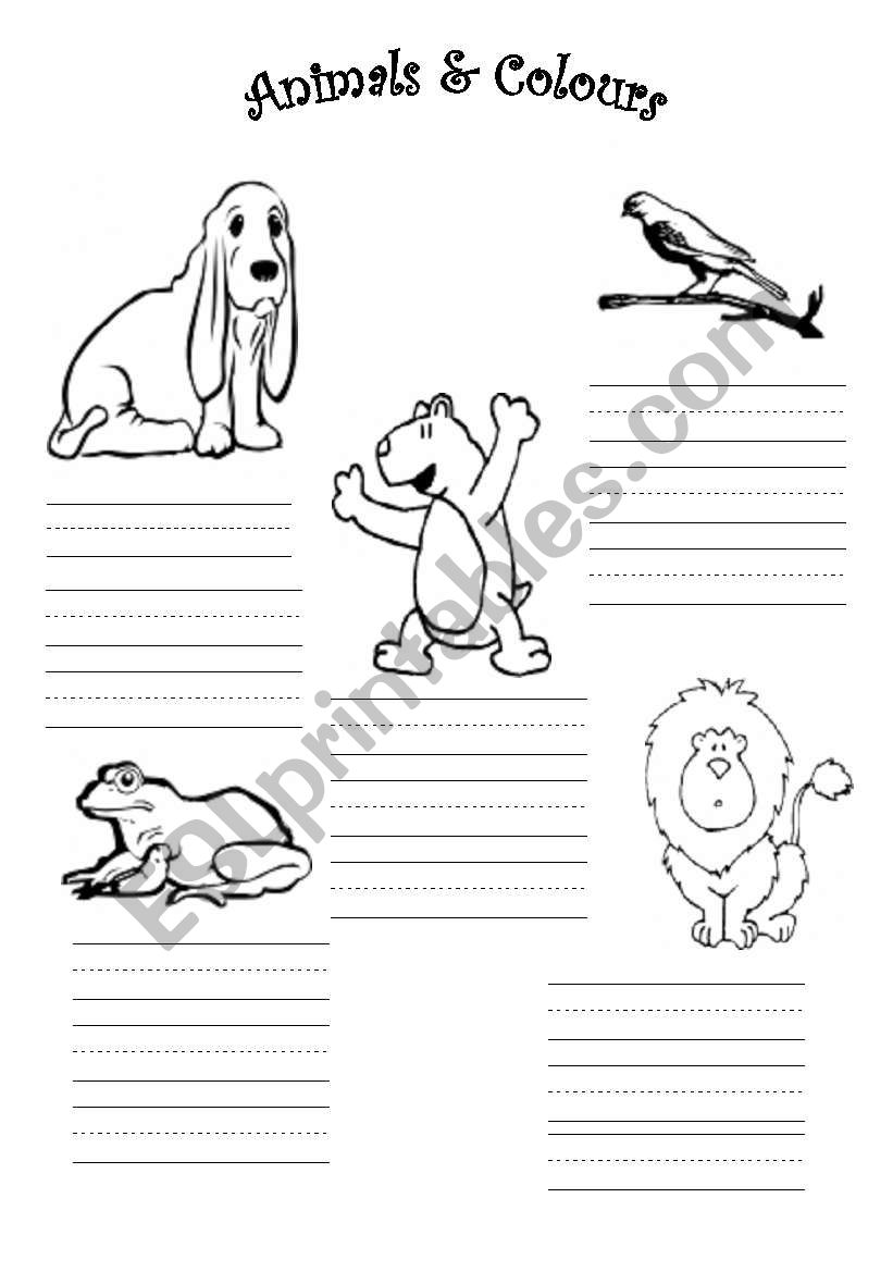 Animals worksheet